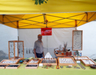 Rosenmarkt Ummendorf, Juni 2017